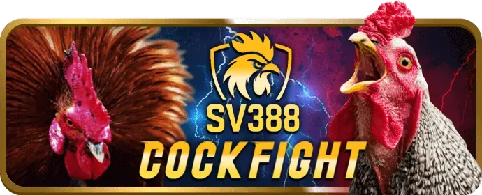Slot 3D và VR